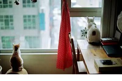 六一儿童节贺卡祝福语 凝视，久久不能留住时光