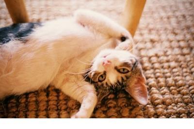 表达问心无愧的诗句 一句话经典语录