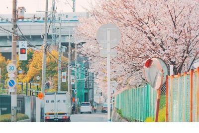 抖音点赞率最高的说说 知乎点赞最高的句子