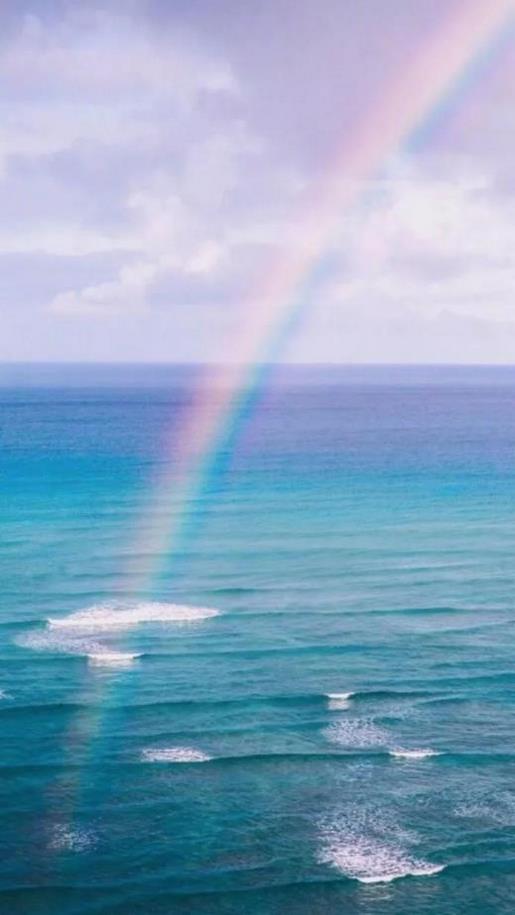 描写桃花的句子100字 描写老人的句子