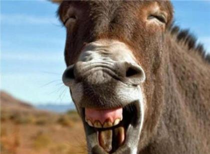 失眠的个性签名经典语录