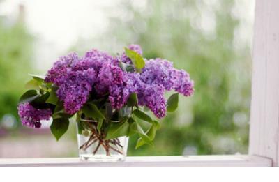 工作坚强励志的句子 一个人孤单但坚强的励志句