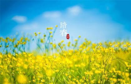 有关生命的名人名言 今年，我开始糊三福糊