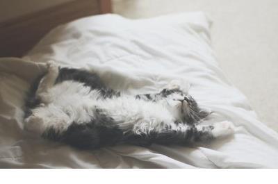 乐观语录励志的句子