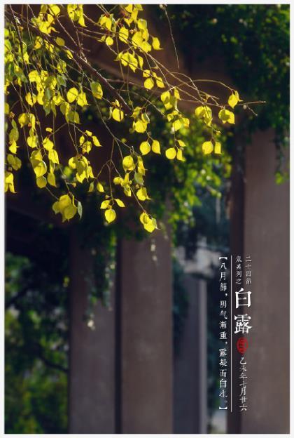 文言文大全爱情哲理句子 国庆节其实只是真的放