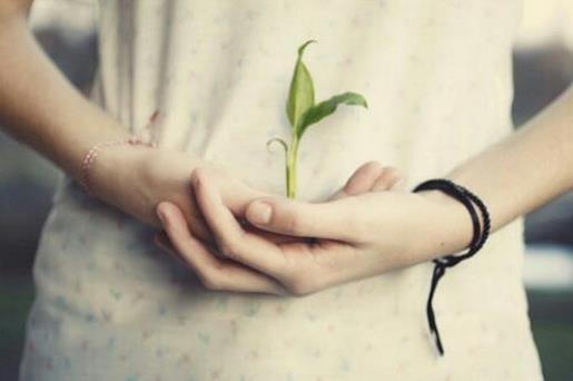 2020新的一年说说短句 希望彼此的努力不会白费