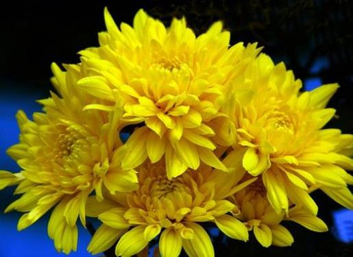 励志句子唯美简短 励志的句子致自己霸气