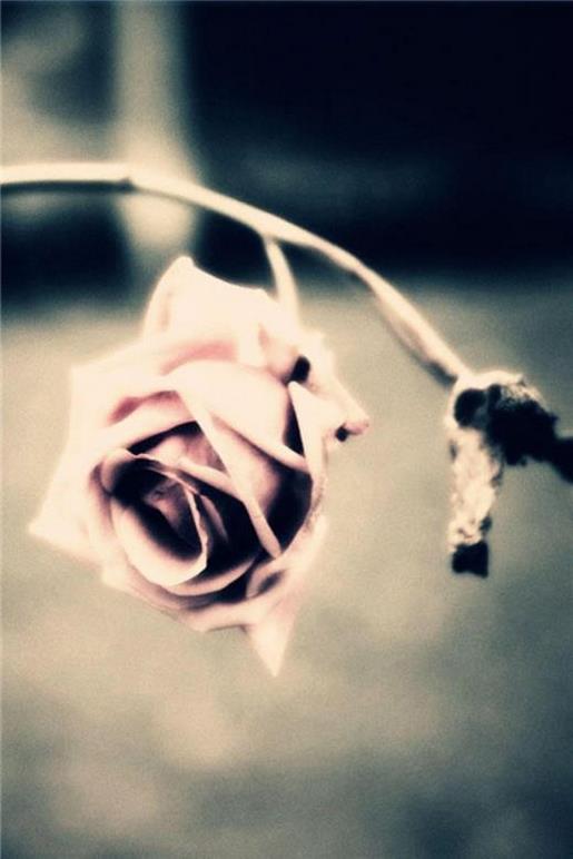 关于期末考励志的说说 励志说说正能量