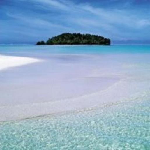 努力赚钱的励志句子