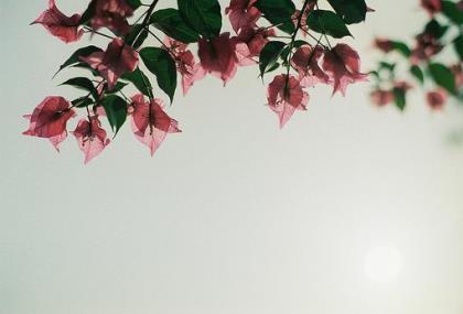 一句触动心灵的句子 最触动人心的句子