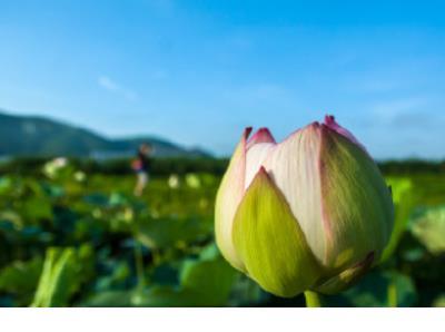 爱情哲理句子精辟简短 我希望能再见到你，你回