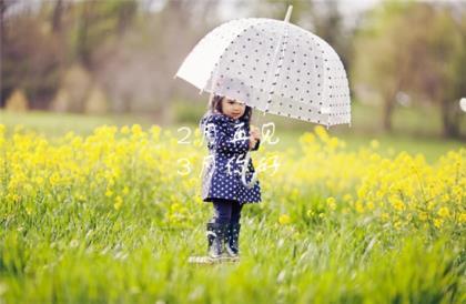 离开一个城市的感慨 离恨似春草，越走越远