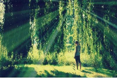 高晓松经典话语摘录