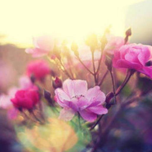 最适合发朋友圈的句子