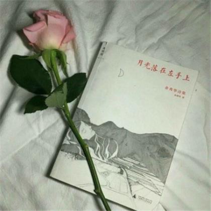 最适合发朋友圈的句子