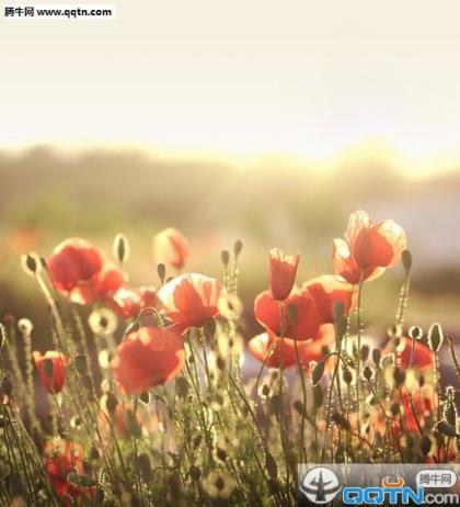 学生励志的句子致自己简短 青春励志句子唯美简