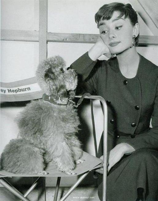 个性励志签名大全 使一个人伟大的是他的梦想