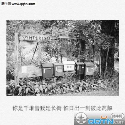 说说配图唯美意境图片 微信意境励志图片