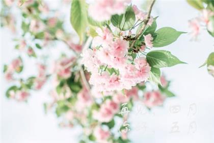 楼顶看风景的说说