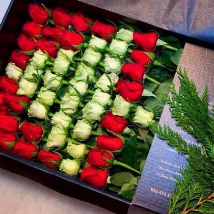 没人懂我心情的句子 妈妈，母亲节快乐