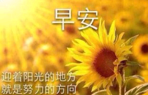 对别人发早安的可爱句子