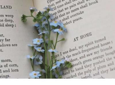 朋友圈说说早安励志语录 废话原来是一种依赖