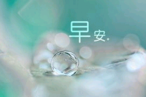 早安发宝贝的句子