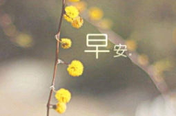 星期一的早安句子朋友圈