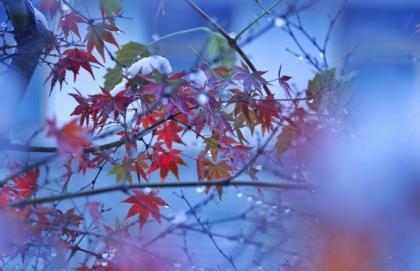 抖音快手怎么赚钱