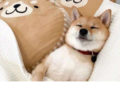 抖音快手怎么赚钱