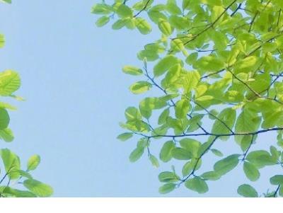 励志说说短句 下雨天励志的句子