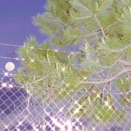 早安励志问候短语 微信早安正能量语录