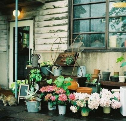 适合五月发的说说 描写五月一号的句子