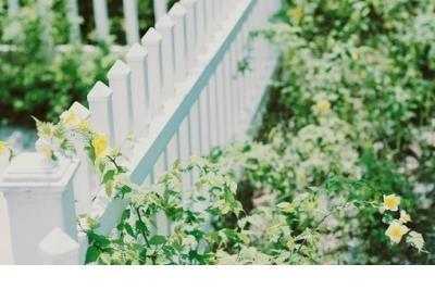 玩的一天说说心情短语 和你一起慢慢变老的感觉