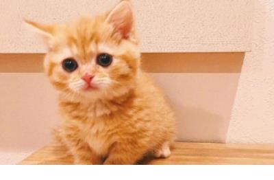 送给学生的最暖心的话 写给学生励志的话