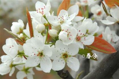 不要让恶小，也不要让善小！