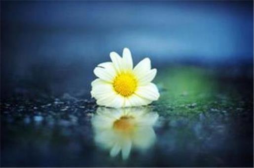 伤感说说短句经典语录