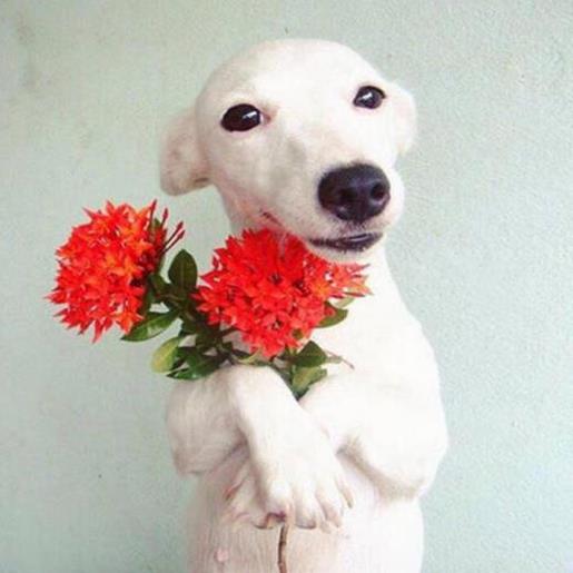 励志朋友圈晚安说说 累了一天对自己说晚安