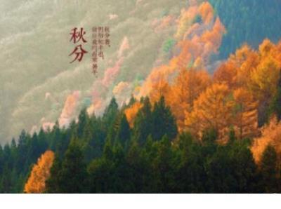 怀念过去美好时光成语 空荡的心，装出一副世故