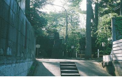 微商朋友圈晚安正能量 晚安语录正能量一句话