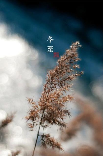 鼓励运动员的话100字 运动员鼓励的话