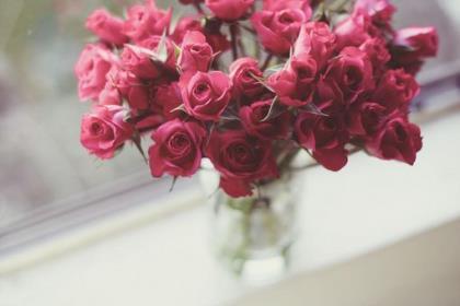 读书名言名句大全集 你越谦虚,快乐就会越远