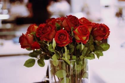 七夕节说早安的句子 七夕情人节早安心语