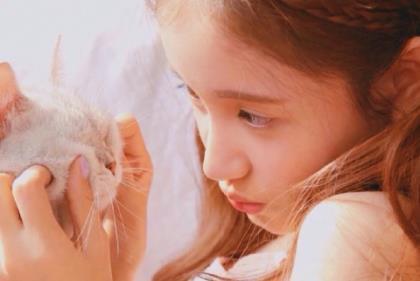 微信朋友圈晚安句子