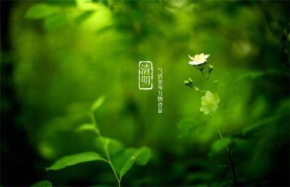 简单的语录 迎接二胎的温馨语录