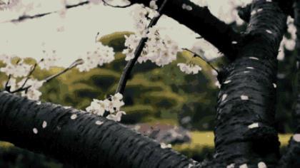 适合男人的励志签名 你不必成为我未来的一部分