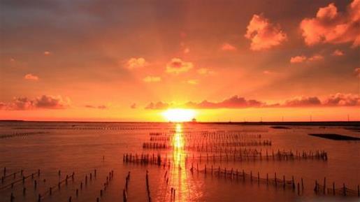 关于表白的句子短句古风 简单的表白句子