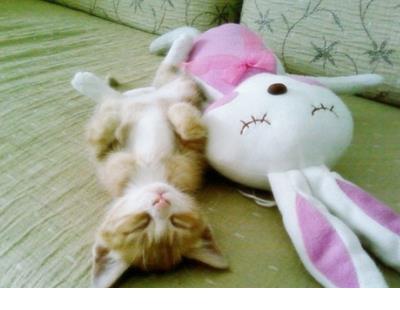 缅怀童年的经典句子 关于描写童年的句子