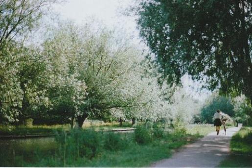 缅怀童年的经典句子 关于描写童年的句子