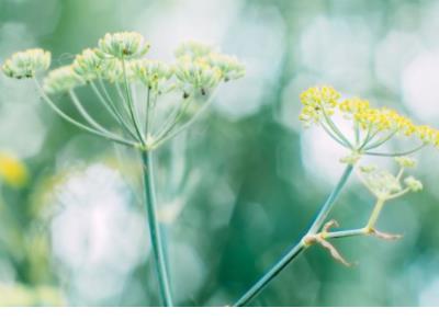 分手发的说说句子简短 失恋了很痛苦的句子